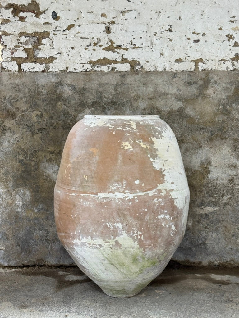 Anatolian Olive Pot