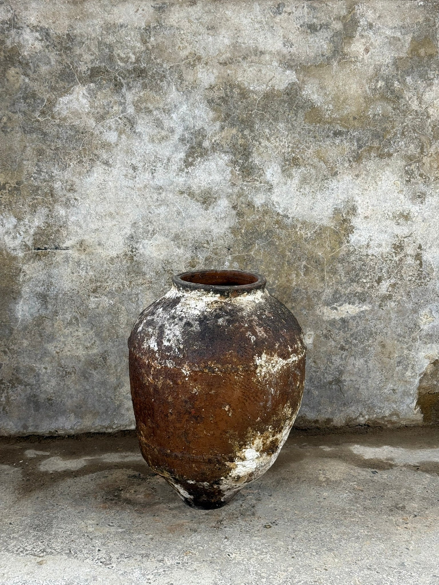 Anatolian Olive Pot