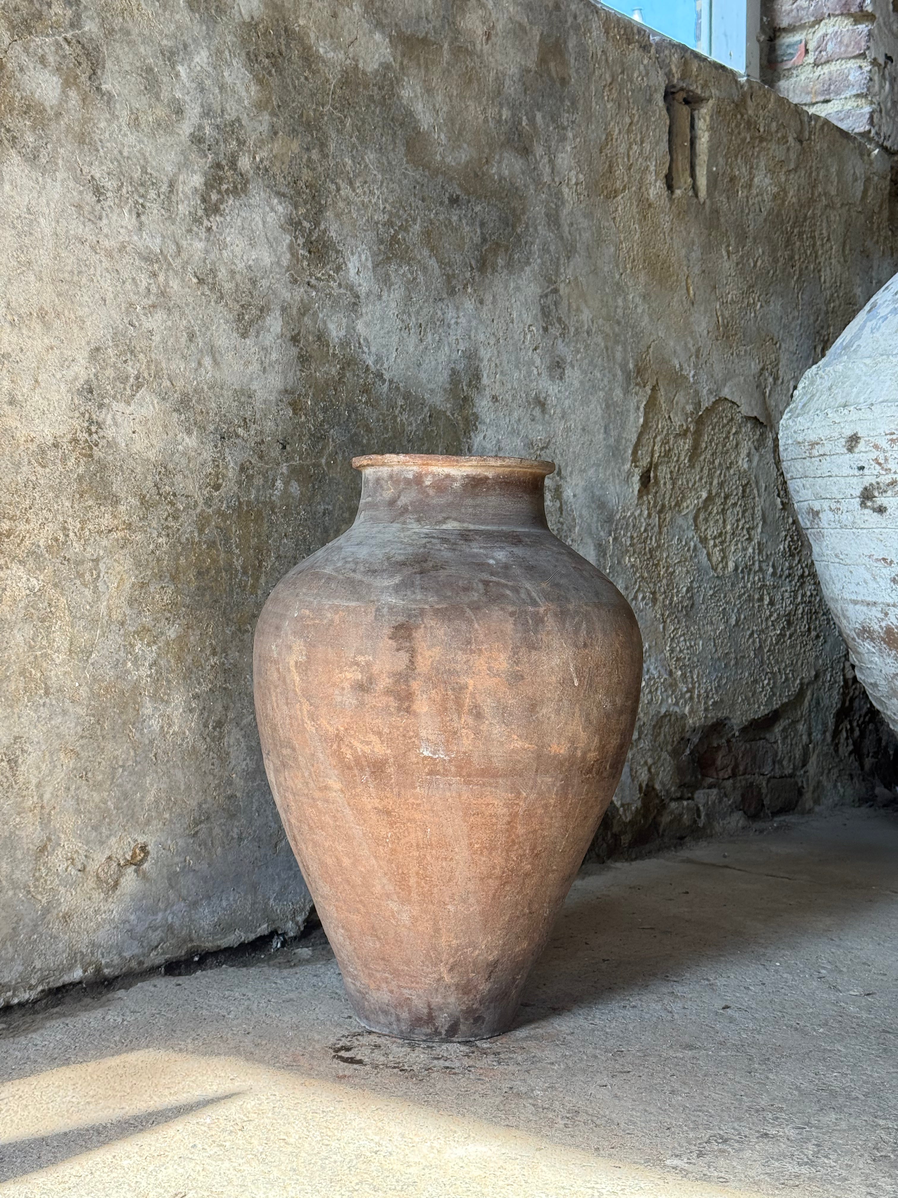 Anatolian Olive Pot