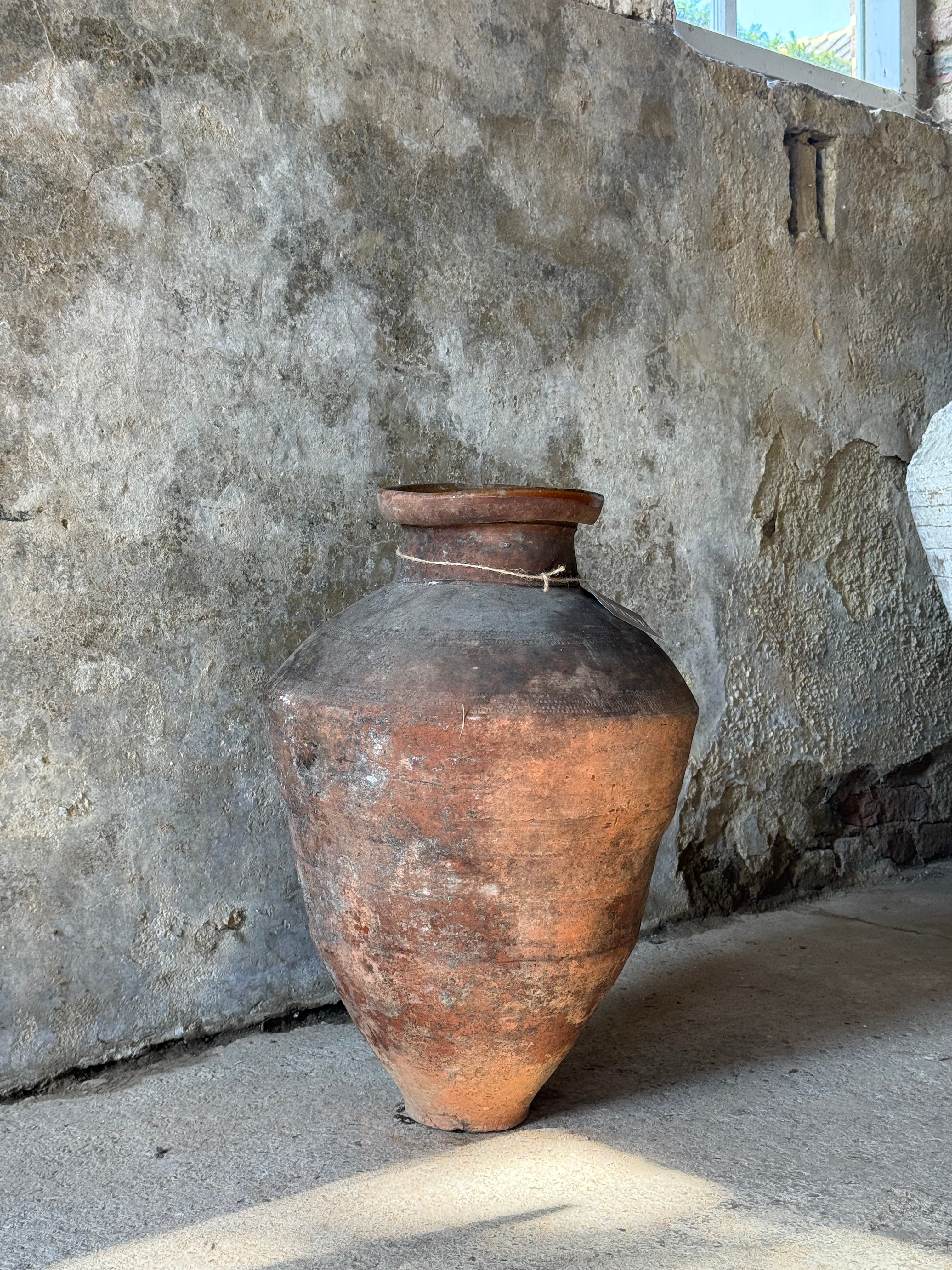Anatolian Olive Pot