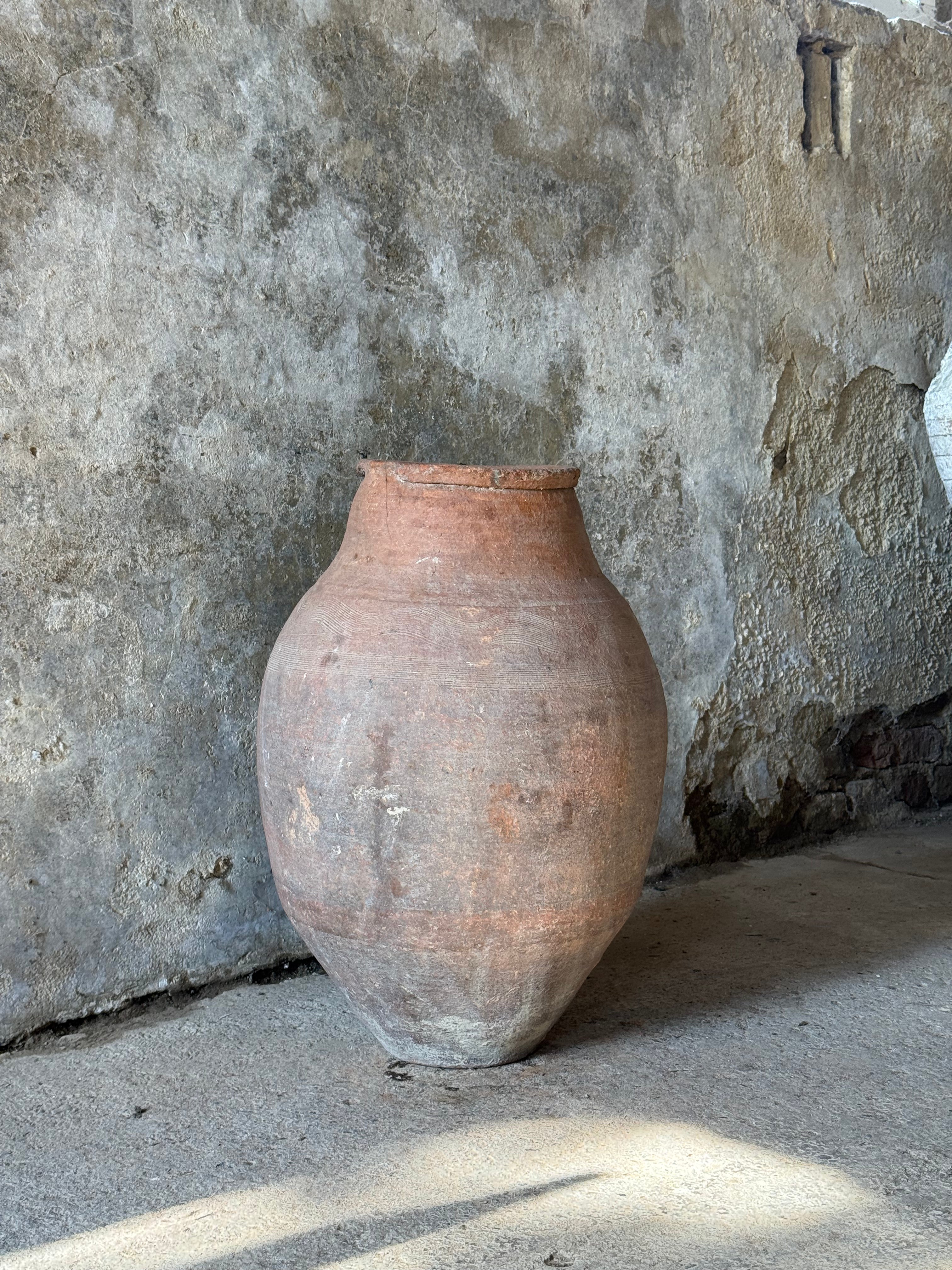 Anatolian Olive Pot