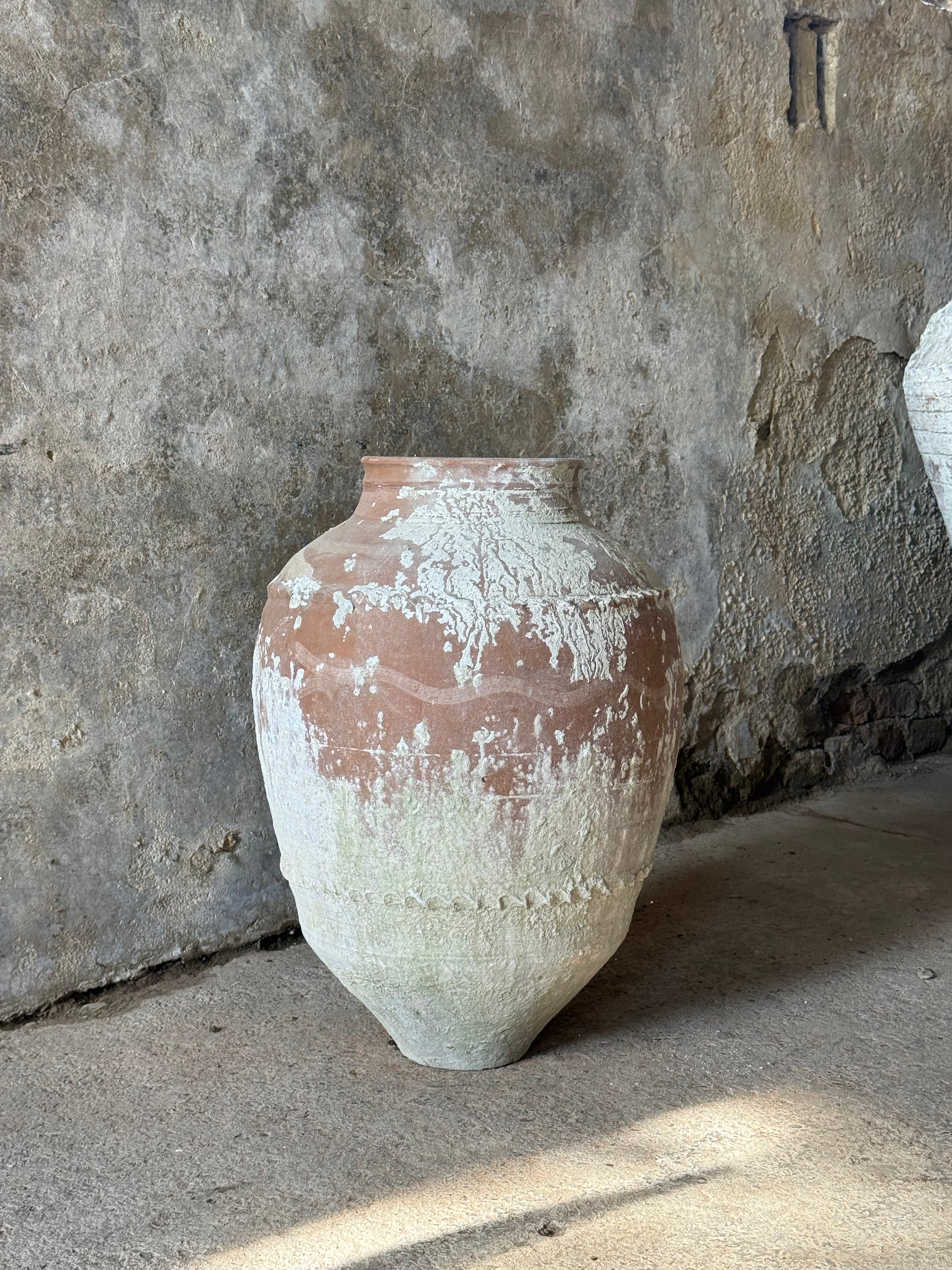 Anatolian Olive Pot