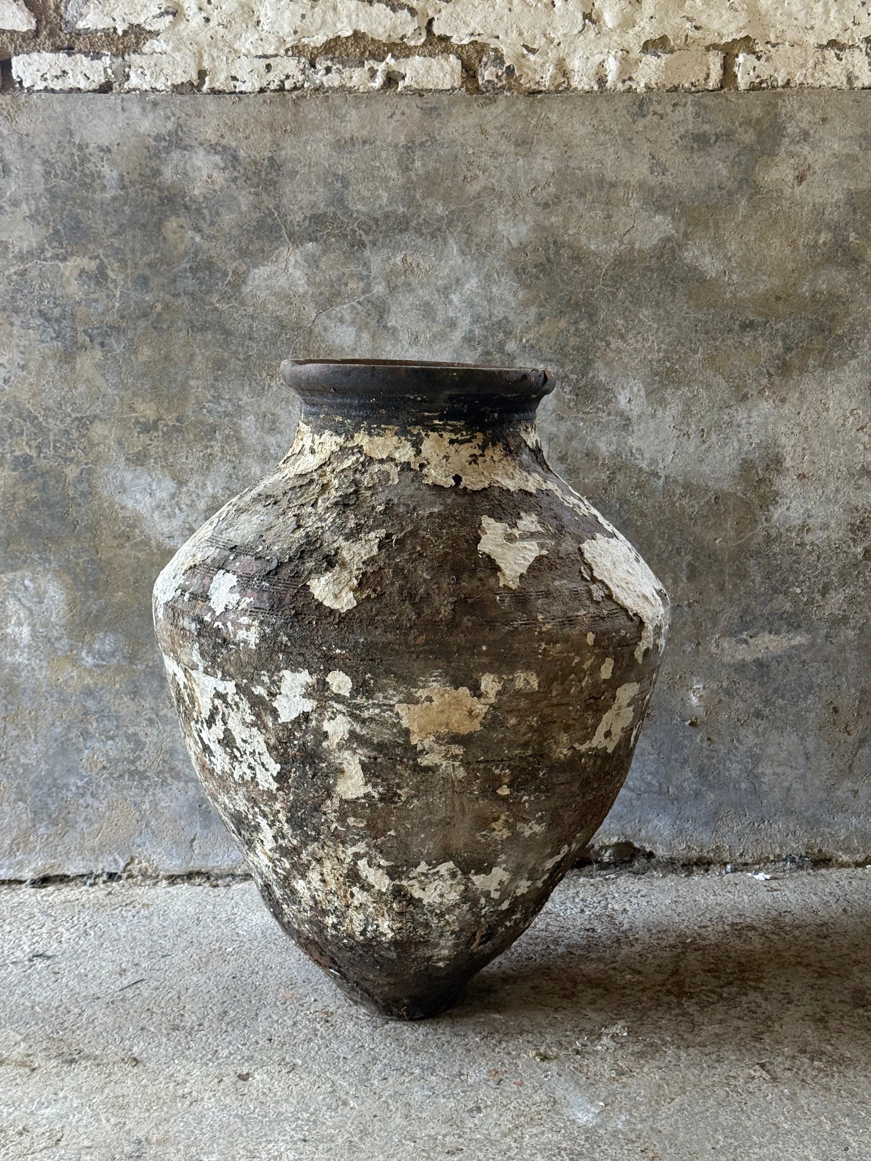 Anatolian Olive Pot
