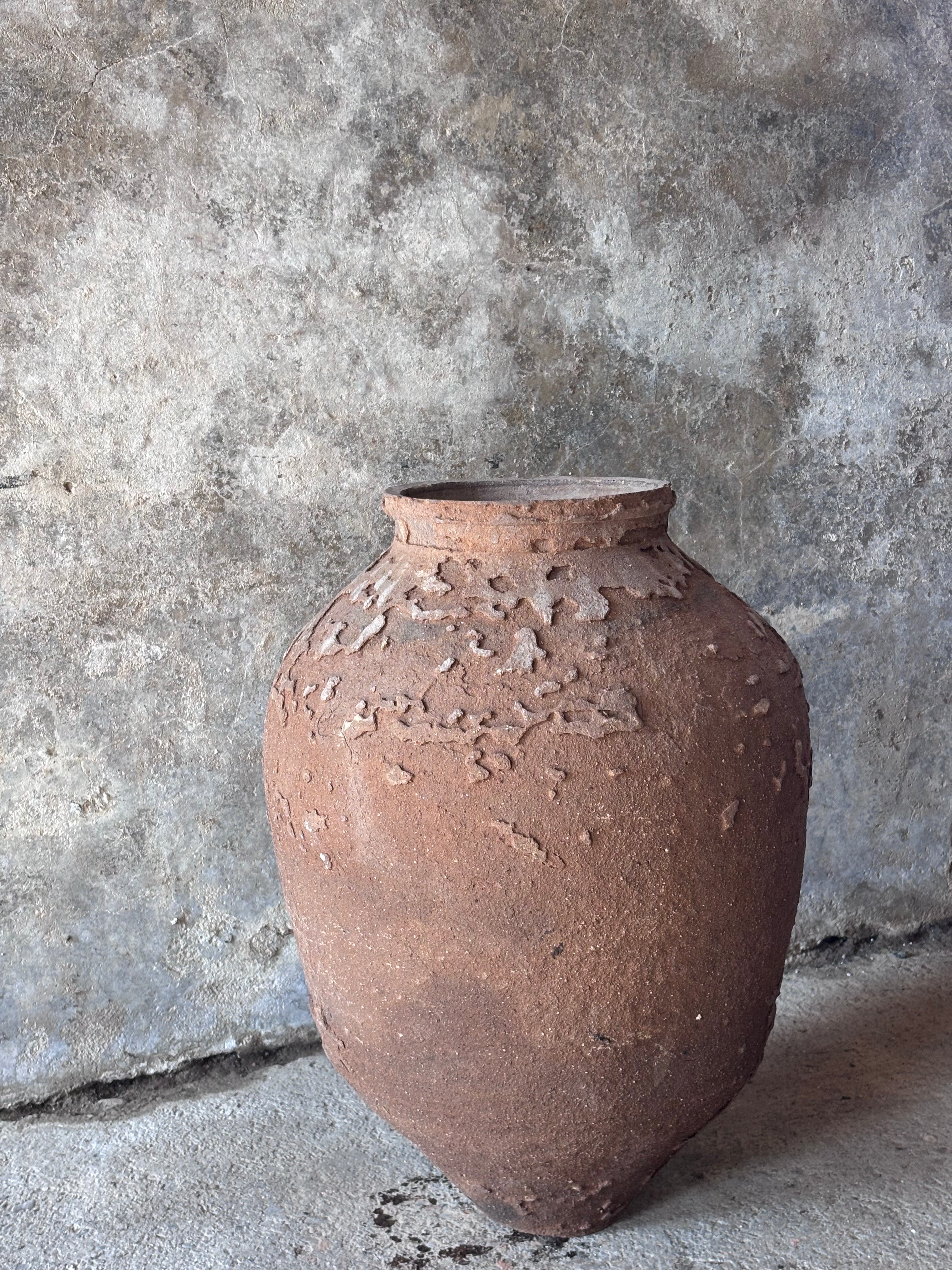 Anatolian Olive Pot