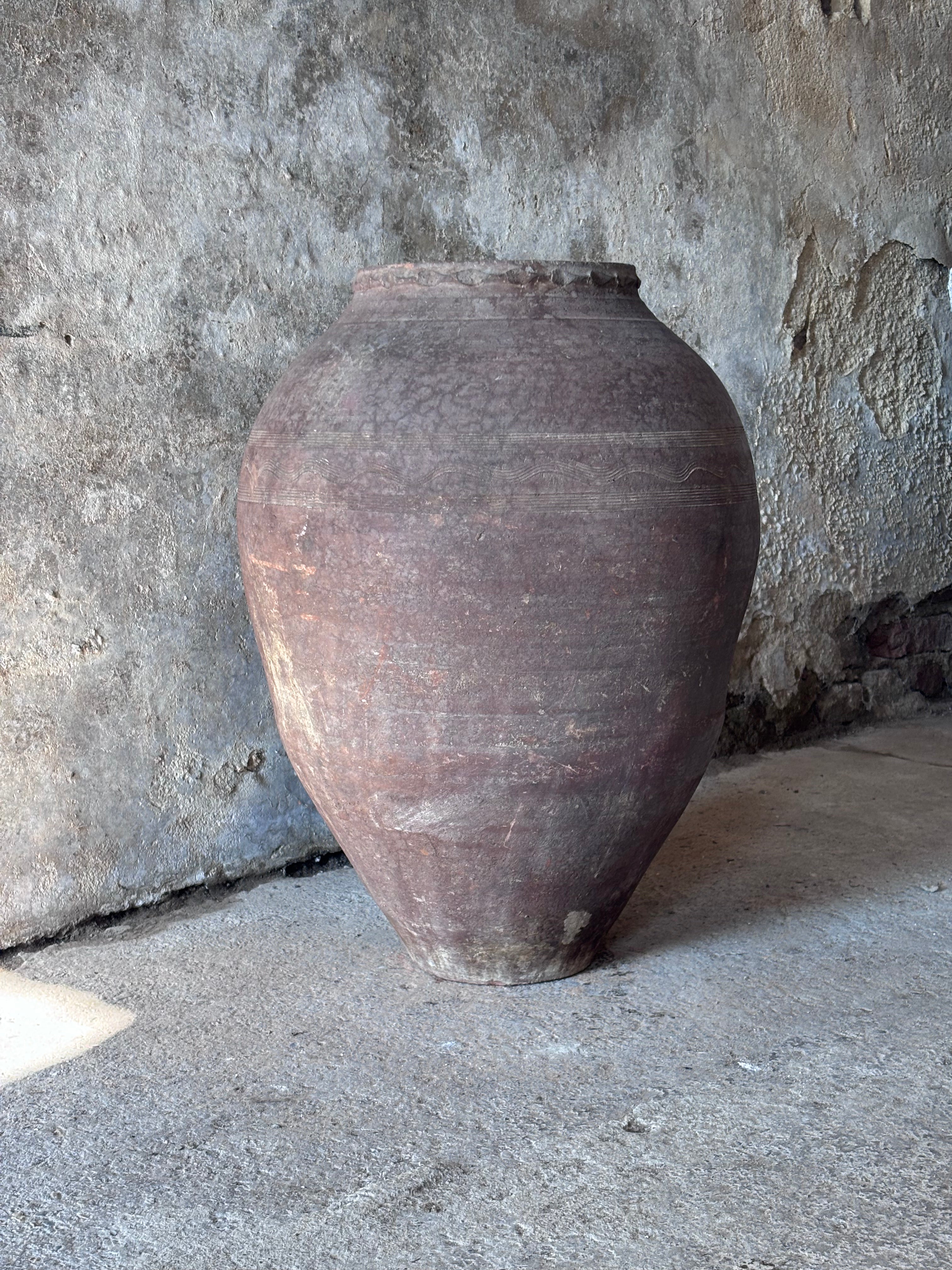 Anatolian Olive Pot