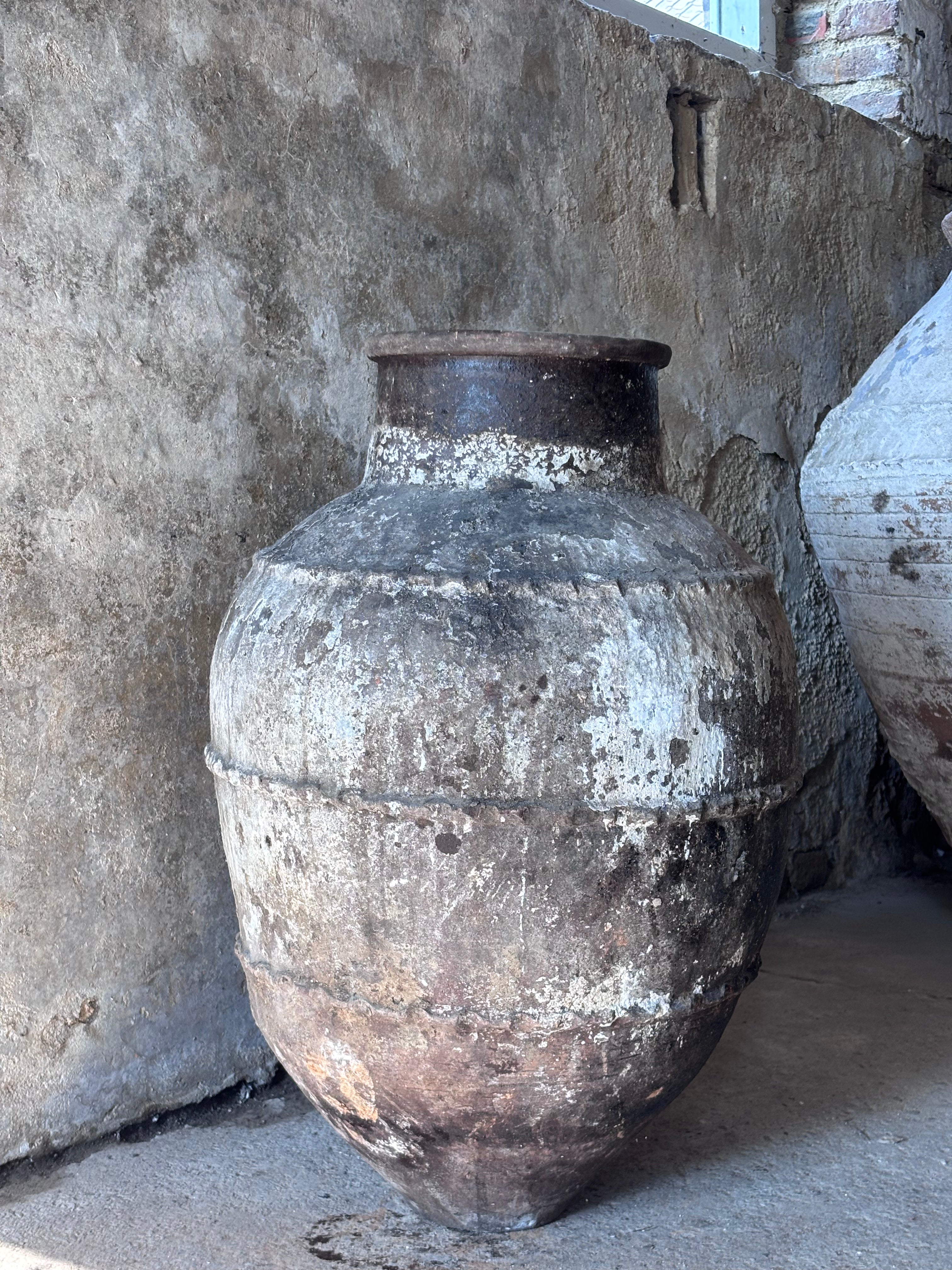 Anatolian Olive Pot